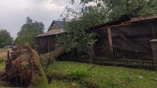 20 uszkodzonych dachów i wiele połamanych drzew. Tarnowscy strażacy byli wzywani do około 100 zdarzeń wywołanych nawałnicą, która w niedzielę przeszła nad regionem tarnowskim