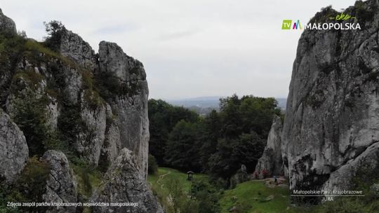 40-lecie Zespołu Parków Krajobrazowych