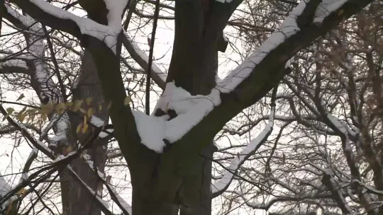 Atak zimy w regionie tarnowskim. Strażacy interweniowali prawie 50 razy