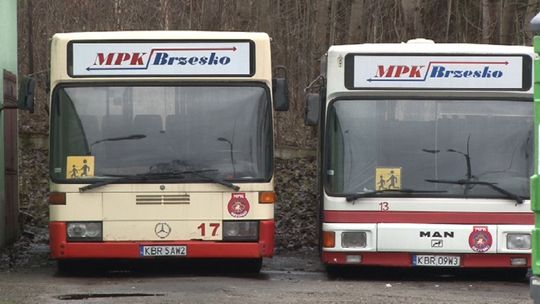 Autobusy dla seniorów z Brzeska za darmo