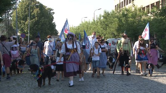 Barwna parada berneńczyków przemierzała tarnowskie ulice. Trwa zjazd miłośników czworonogów