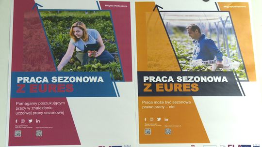 Bezpieczny wyjazd do pracy sezonowej za granicą. Trwa kampania informacyjna