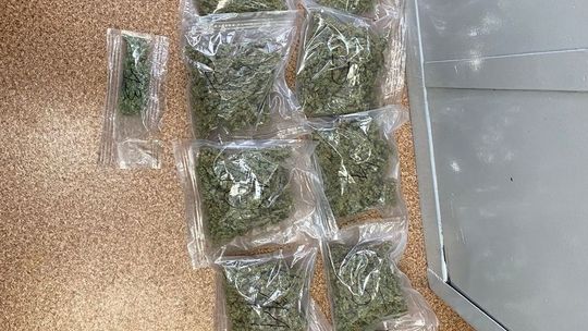 Brzescy policjanci zabezpieczyli ponad kilogram marihuany