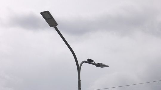 Brzesko wymienia stare latarnie uliczne na energooszczędne