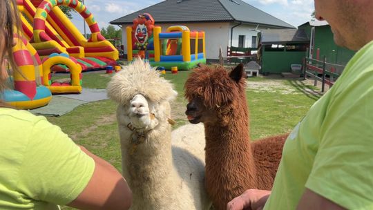 Bulilandia mini zoo zaprasza na wielką przygodę Bulilandia mini zoo zaprasza na wielką przygodę