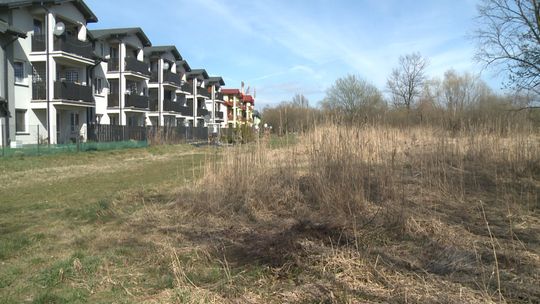 Chcą zieleni, a nie bloków. Prezydent nie dotrzyma słowa danego mieszkańcom Tarnowa?