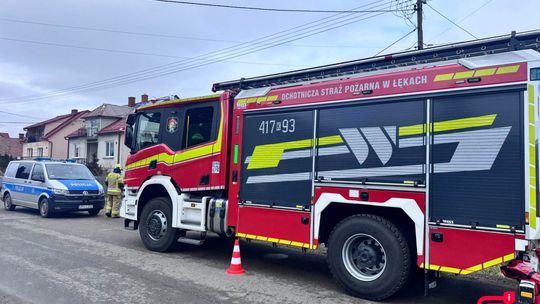 Ciało mężczyzny w przydrożnym rowie