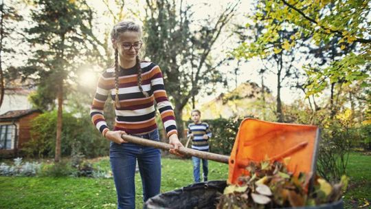 Co we wrześniu należy zrobić w ogrodzie? Czas poważnych porządków