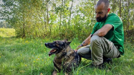 Czworonożny policjant z tarnowskiej komendy na emeryturze