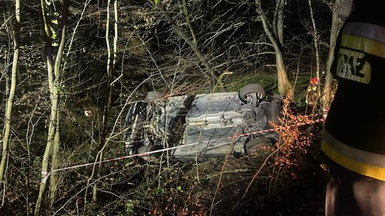 Dachowanie samochodu w Zalasowej. Pojazd w zaroślach