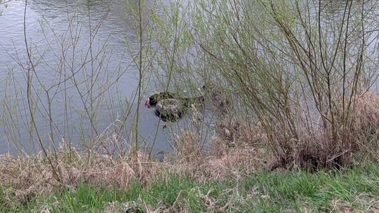 Dramatyczny wypadek quada pod Bochnią. 22-latek reanimowany, do szpitala trafił śmigłowcem LPR