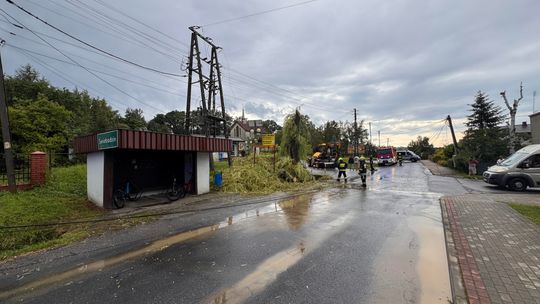 Drzewo spadło na transformator i przystanek w Świebodzinie. Ewakuowano ludzi spod przystanku
