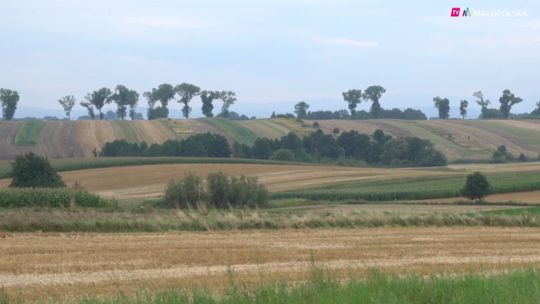 Duże środki na scalanie gruntów