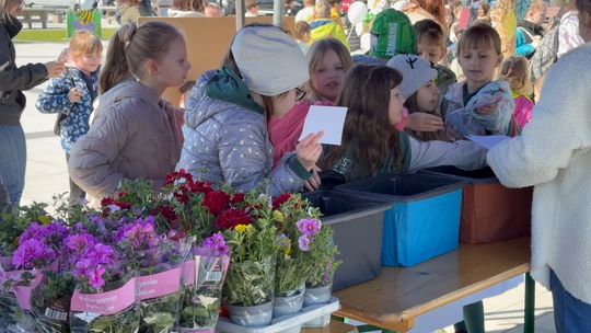 Dzień Ziemi w Lisiej Górze – piknik ekologiczny dla dzieci i młodzieży