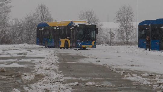 Elektryczne autobusy już kursują po Tarnowie