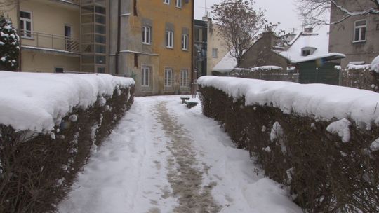 Fusy z kawy zamiast soli i piasku? Tarnów chciałby w przyszłym roku dołączyć do eksperymentu