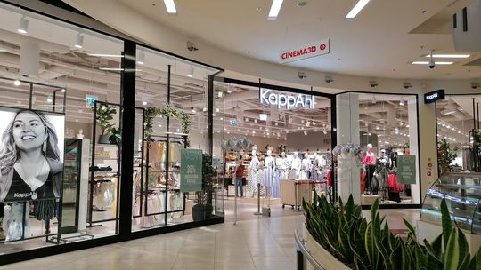 Galeria Tarnovia z hitami otwarciowymi i rosnącą odwiedzalnością