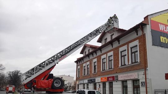 Gołąb potrzebował pomocy strażaków