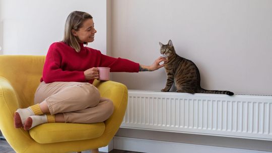 Grzejniki elektryczne – nowoczesne i wygodne źródło ciepła