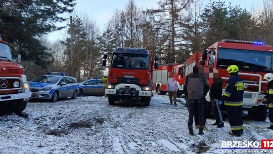 Kobieta przygnieciona przez drzewo w lesie. Na miejscu strażacy z dwóch powiatów