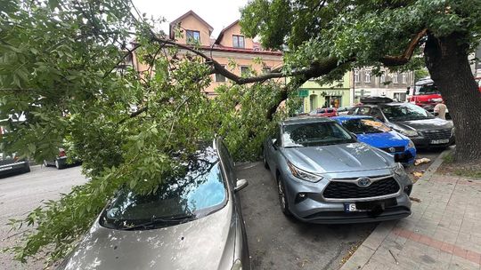 Konar drzewa spadł na samochody przy ul. Targowej w Tarnowie