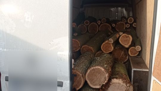 Leśni złodzieje zatrzymani przez policję z Brzeska