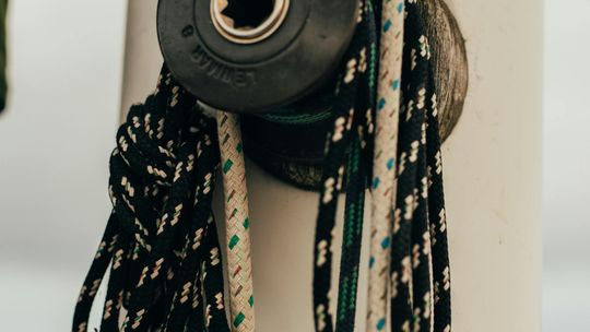 Lina czarna – niezawodna, trwała i wszechstronna w zastosowaniu