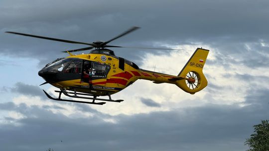 Młody przedsiębiorca nie żyje! Tragedia przy wycince drzew