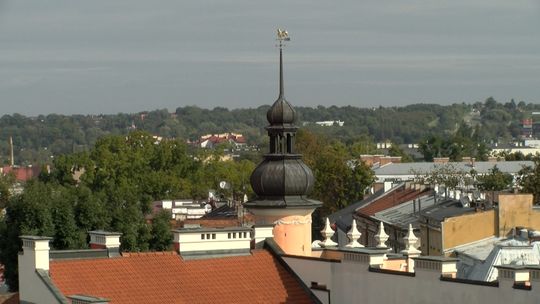 Młodzież z Tarnowa i okolic ma możliwość podjęcia pracy na czas wakacji!