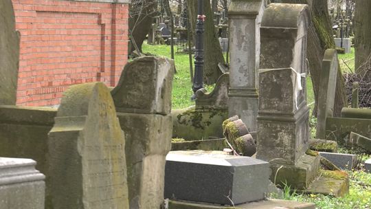Na Cmentarzu Żydowskim odkryto ponad 100 nieznanych wcześniej macew