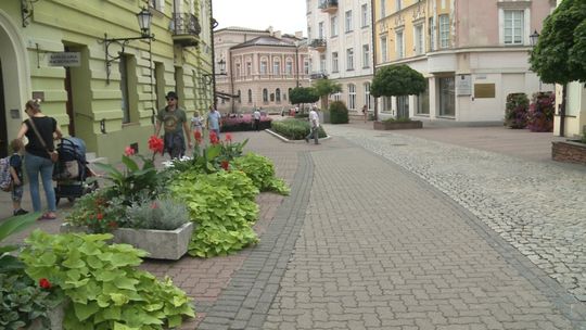 Na Starówce w Tarnowie powstaną oazy zieleni z poidełkami