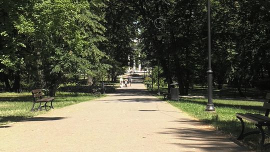 Niepozorne, ale groźne. Kleszcze atakują coraz częściej
