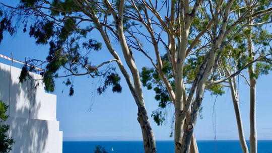 Nieruchomości Costa del Sol – marzenie o własnym mieszkaniu w hiszpańskim raju