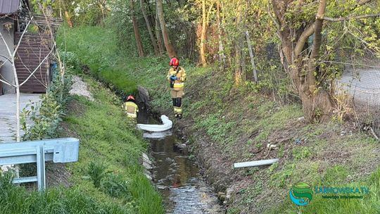 Nieznana substancja w potoku Strusinka. Akcja służb w Tarnowie