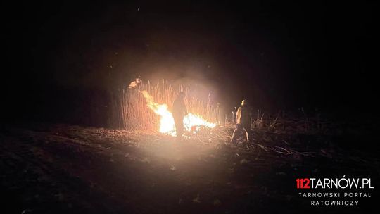 Nocny pożar nieużytków rolnych w Gorzycach i Czyżowie
