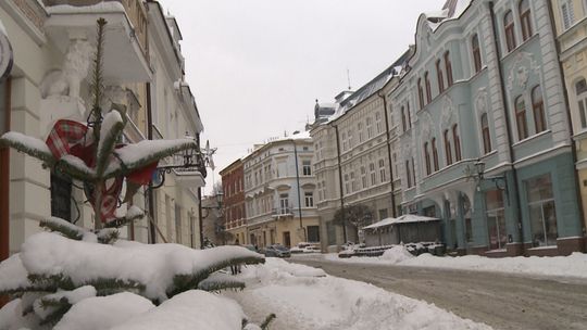 Nowe drzewa i krzewy w Tarnowie. Miasto zrealizowało projekt zazieleniania