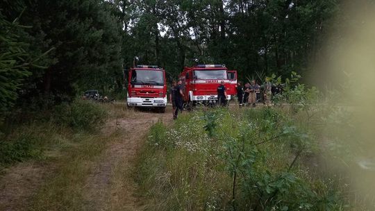 Nurkowie wyłowili ciało mężczyzny z akwenu wodnego w Jadownikach Mokrych