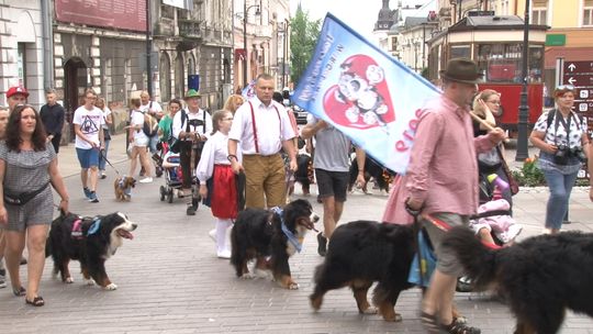 Parada berneńczyków wyruszyła ulicami Tarnowa