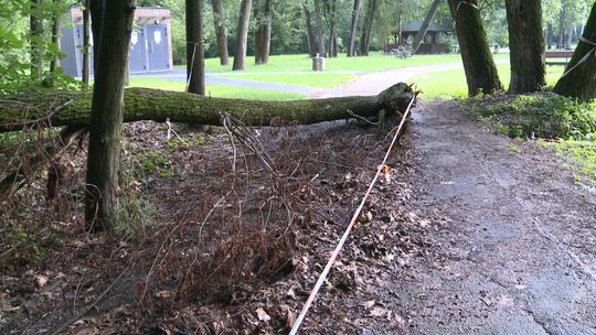 Plany rady osiedla względem tarnowskiego Parku Piaskówka