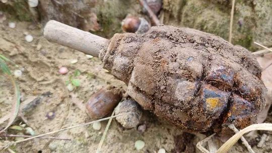Pleśna. Wojenny granat w ziemi przeznaczonej do plantowania terenu