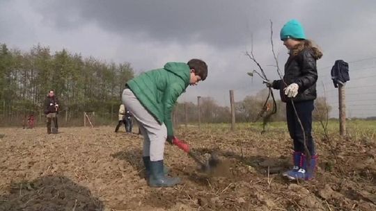 Pod Krakowem powstaje Las Prawiek na cześć Olgi Tokarczuk