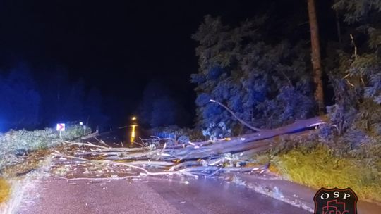 Ponad 60 interwencji strażaków po nocnej burzy w regionie tarnowskim Ponad 60 interwencji strażaków po nocnej burzy w regionie tarnowskim