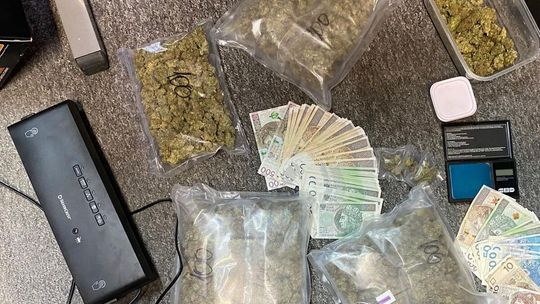 Ponad 750 gramów marihuany zabezpieczonych przez tarnowskich policjantów