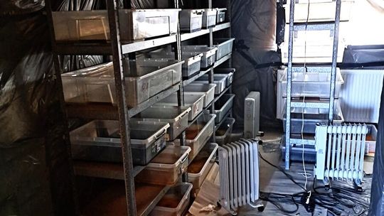 Potężne uderzenie małopolskich policjantów w narkobiznes. Ujawnili pół tony nielegalnych substancji o wartości 22,5 miliona złotych