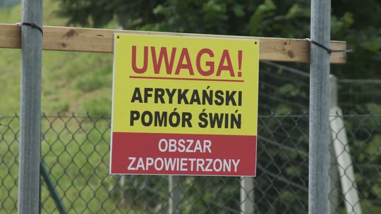 Powstanie płot na granicy województwa małopolskiego i podkarpackiego. Ma on powstrzymać rozprzestrzenianie się ASF