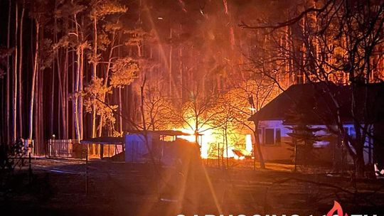 Pożar budynku gospodarczego i lasu w Borzęcinie. Doszło do wybuchu butli