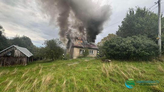 Pożar domu w Trzemesnej. Na miejscu liczne zastępy straży pożarnej