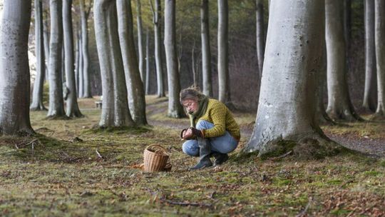 Przeczytaj, zanim wybierzesz się do lasu. Coraz więcej zgłoszeń