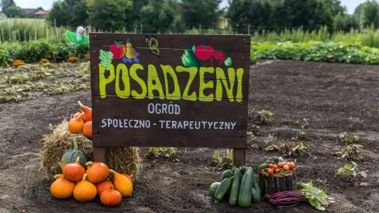 Przy krakowskim więzieniu powstał ogród społeczno-terapeutyczny „Posadzeni”