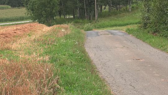 Ruszą remonty pięciu dróg w gminie Ciężkowice